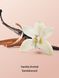Лосьон для тела Vanilla Orchid Sandalwood 296ml Victoria's Secret - 3