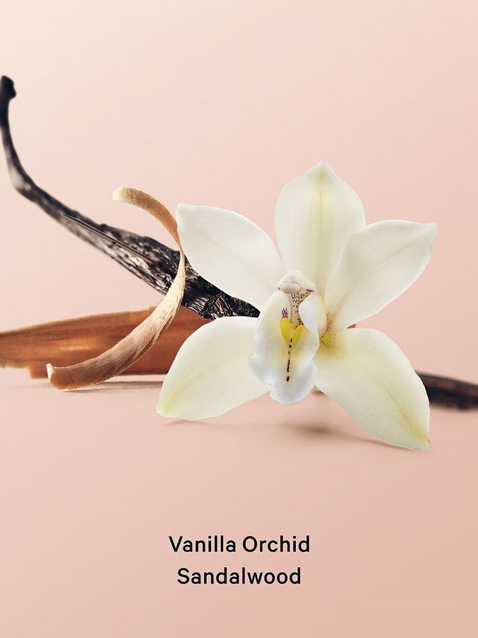 Лосьон для тела Vanilla Orchid Sandalwood 296ml Victoria's Secret