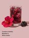 Спрей для тіла Festive Fizz 250ml Victoria's Secret - 2