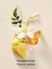 Лосьон для тела Pina Tropicale 236ml Victoria's Secret - 2