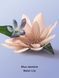 Крем для душа Blue Jasmine Water Lily 296ml Victoria's Secret - 4