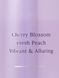 Спрей для тіла Love Spell 250ml Victoria's Secret - 4