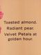 Спрей для тіла Velvet Petals Golden 250ml Victoria's Secret - 2