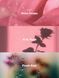 Мило-гель для рук Rose Bohemia 295ml Bath & Body Works - 2